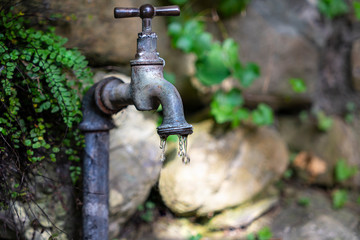 the faucet  that drops