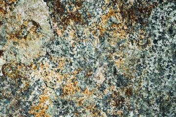 The texture of the stone overgrown with moss. Background image of a boulder