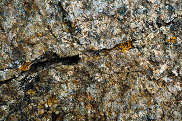 The texture of the stone overgrown with moss. Background image of a boulder