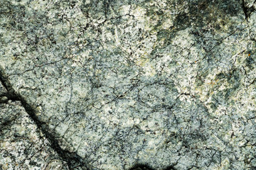 The texture of the stone overgrown with moss. Background image of a boulder