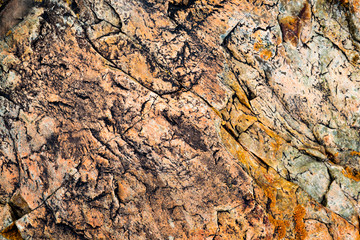 The texture of the stone overgrown with moss. Background image of a boulder