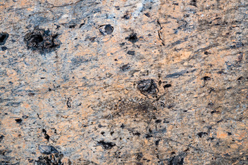 The texture of the stone overgrown with moss. Background image of a boulder