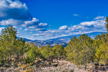 Fototapeta premium Panoramica desde el Campillo de Darrical