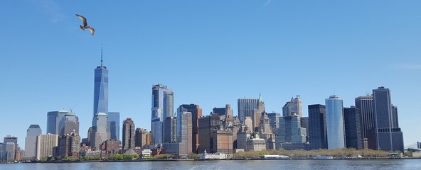 Manhattan Skyline with bird 