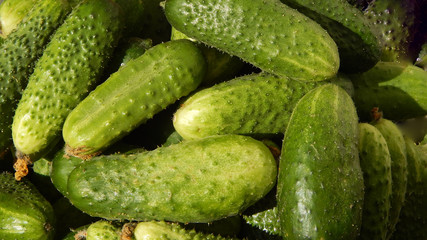 cucumbers on a background