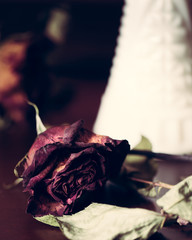 Dead Rose on Table White Milk Glass