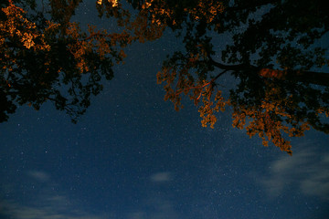 Obraz na płótnie Canvas starry sky over the lake