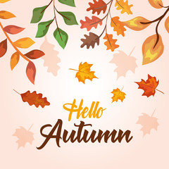 natural branches leaves plants style