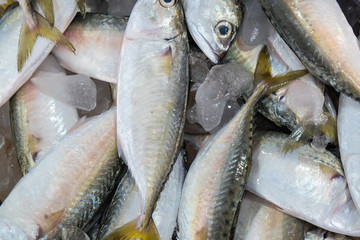 Fresh sea fish sell in local fishery market in Samutprakan