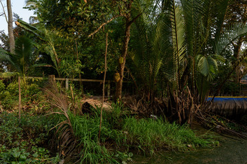 Delta du Mékong, région de Can Tho, Cai Rang Floating Market