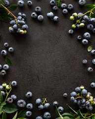 Fresh blueberries on a black background, copy space, top view. Fruit frame