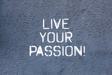 Fototapeta na wymiar Text sign showing Live Your Passion. Conceptual photo doing something you love that you do not consider job Brick Wall art like Graffiti motivational call written on the wall