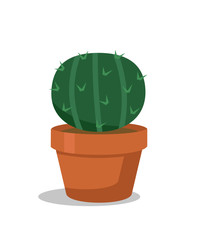 Cactus in pot flat vector illustration