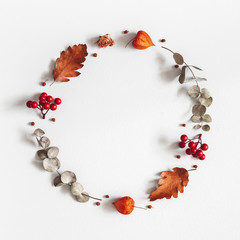 Autumn composition. Wreath made of dried flowers, eucalyptus leaves, berries on gray background. Autumn, fall, thanksgiving day concept. Flat lay, top view, copy space, square - 283529975