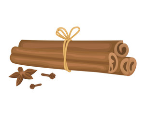 Cinnamon sticks tied with rope, cloves and star anise. Spices for mulled wine.
