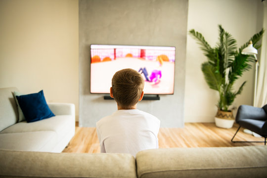 Back view image of cute boy sitting on sofa and watching TV.