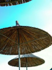 Straw umbrellas against a blue sky. Parasols.