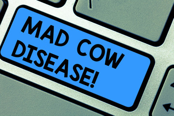 Writing note showing Mad Cow Disease. Business photo showcasing Neurodegenerative lethal disease contagious eating meat Keyboard key Intention to create computer message pressing keypad idea