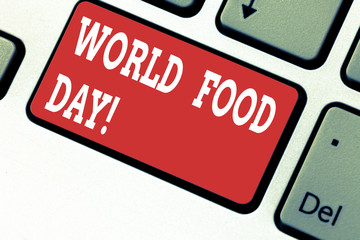 Handwriting text writing World Food Day. Concept meaning World day of action dedicated to tackling global hunger Keyboard key Intention to create computer message pressing keypad idea