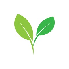 leaf logo vector
