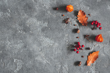 Autumn composition. Flowers, leaves, berries on black background. Autumn, fall, thanksgiving day concept. Flat lay, top view, copy space