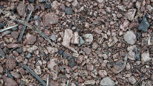 Suelo de grava de maderas