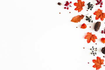 Autumn composition. Frame made of flowers, maple leaves, berries on white background. Autumn, fall, thanksgiving day concept. Flat lay, top view, copy space