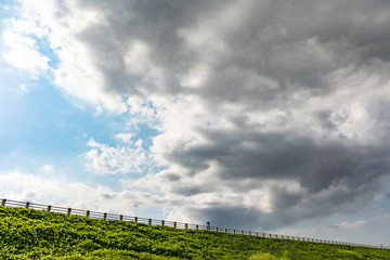 Fototapeta premium 芝の上 空雲