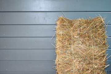 Storage hay at  wooden wall. Stack of a dry grass for a forage an animal. Cowboy's background with copyspace