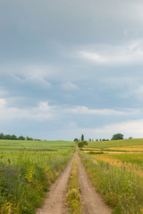 sentieri di campagna nel centro italia, lazio, con fiori, laberi e nuvole