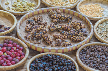 Luwak coffee, Kopi luwak is coffee that includes part-digested coffee cherries eaten and defecated by the Asian palm civet at coffee drying yard in Dalat, Vietnam.