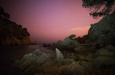 Night seascape with stars in the sky
