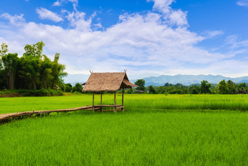 Small house and rice terraces field with Mountain and blue sky background at Nan Thailand