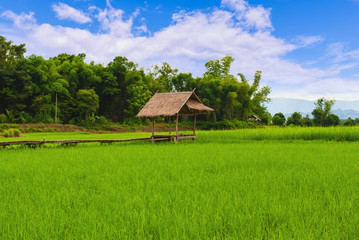 Fototapeta na wymiar Small house and rice terraces field with Mountain and blue sky background at Nan Thailand