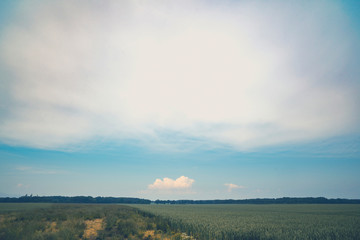 Rural countryside landscape with matte effect