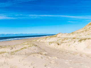 landscape with sand and grass, North Sea coast