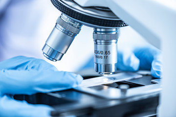  Researchers working with microscopes Wearing blue gloves