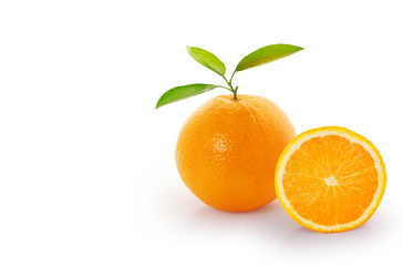 Fototapeta na wymiar Orange on white background