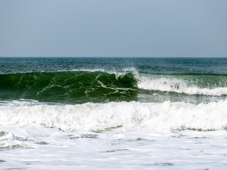 landscape with waves ashore with horizon and gray sky