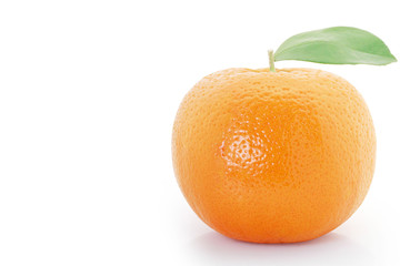 Orange  on white background