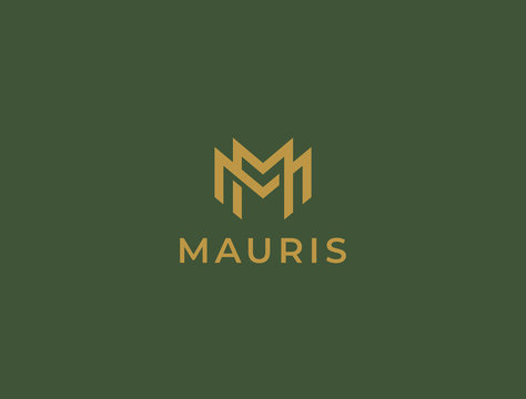 Unique modern creative elegant letter M logo template. Vector icon.