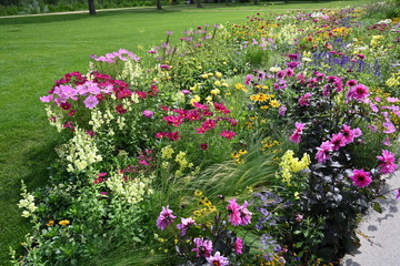 Wittstock, Dosse, Blumen der Landesgartenschau 2019