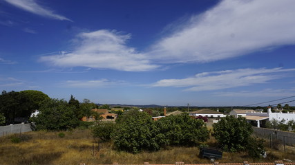 paisaje con cielo y vegetación