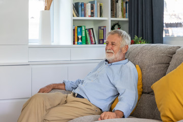 Relax happy senior old man eldery sitting on comfortable sofa in living room