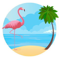 Flamingo am Strand