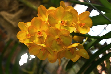 Wittstock, Dosse, Landesgartenschau 2019