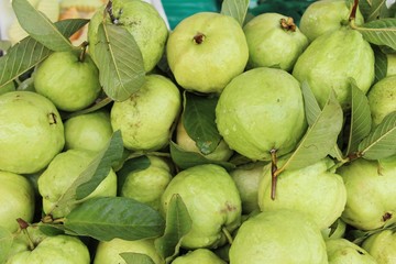 Guava fruit is delicious at street food