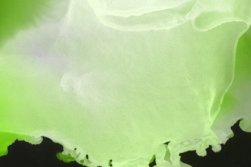 Hand painted alcohol ink background. Abstract delicate green texture. Contemporary wallpaper. 
