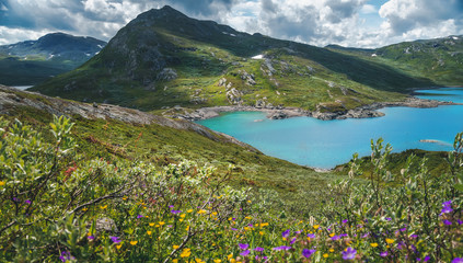 Summer scenery in Jotunheimen national park in Norway - obrazy, fototapety, plakaty