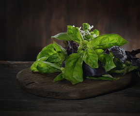 Fresh  basil on the wooden table
